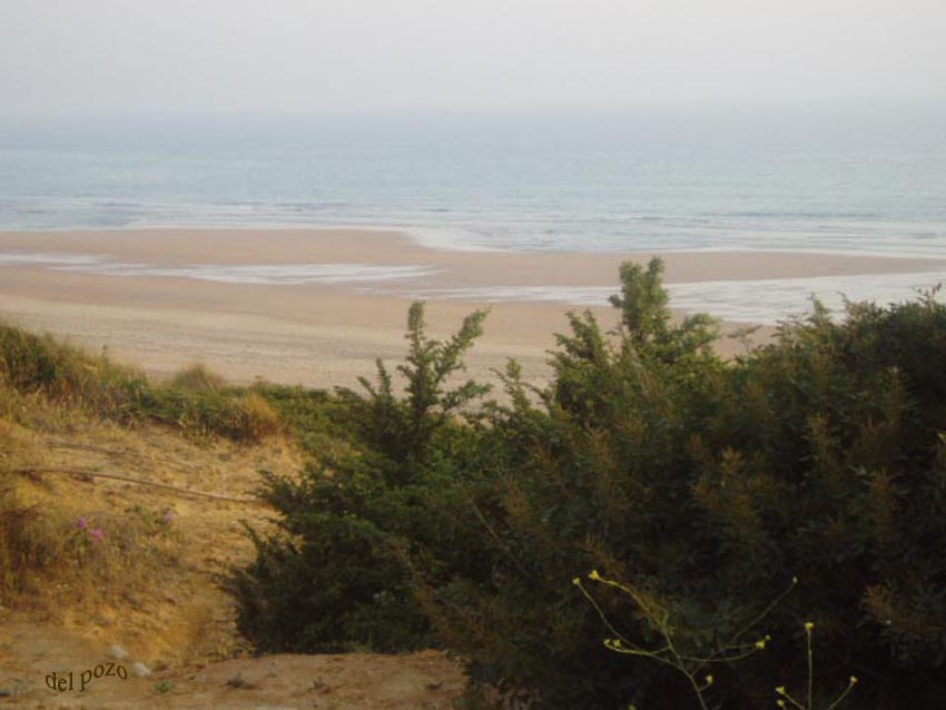 Foto de Chiclana de la Frontera (Cádiz), España