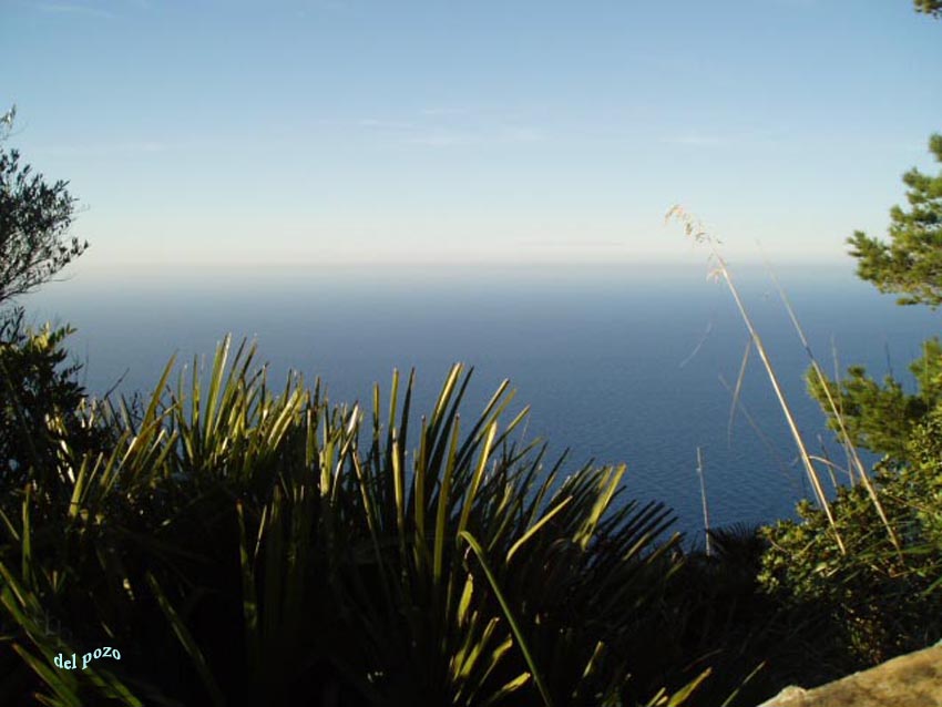 Foto de Palma de Mallorca (Illes Balears), España