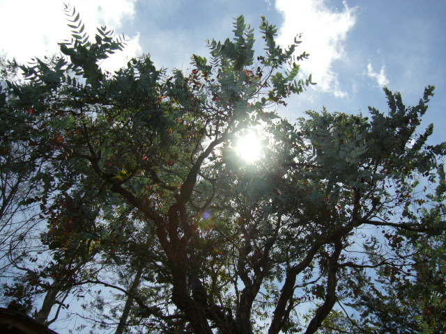 Foto de Antioquia, Colombia