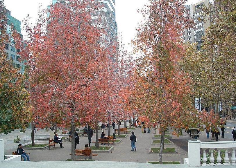 Foto de Santiago, Chile