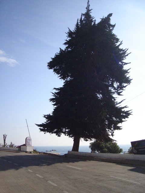 Foto de CONCON, Chile