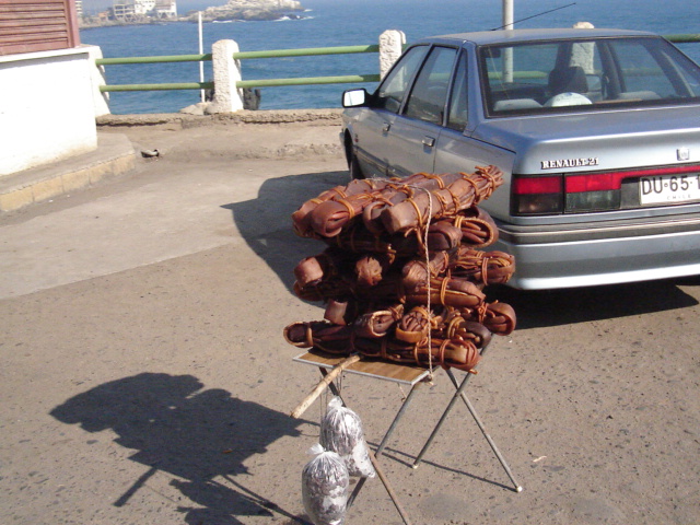 Foto de VIÑA DEL MAR, Chile