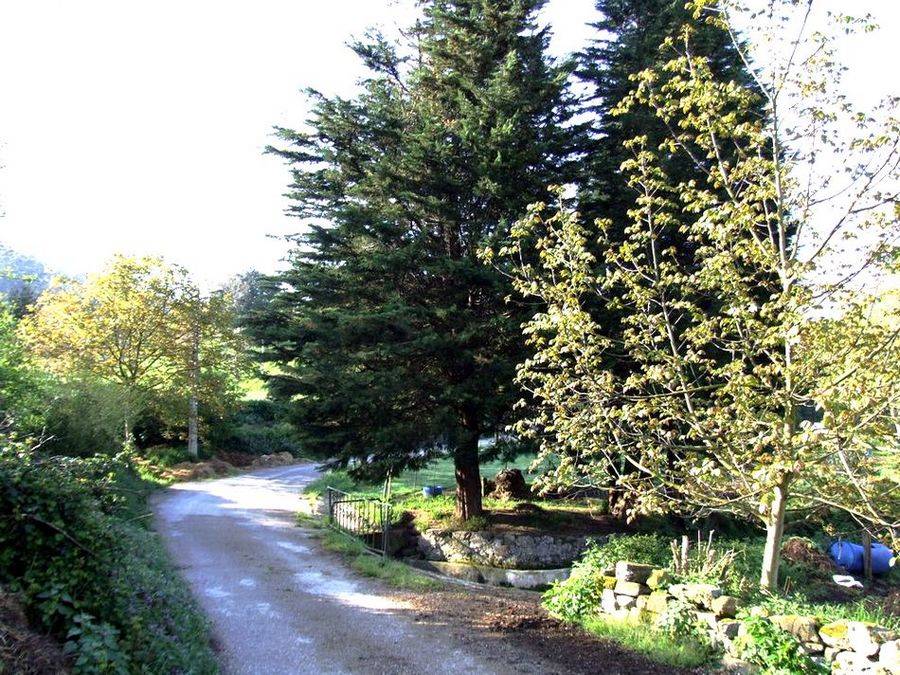 Foto de Arenal de Penagos (Cantabria), España
