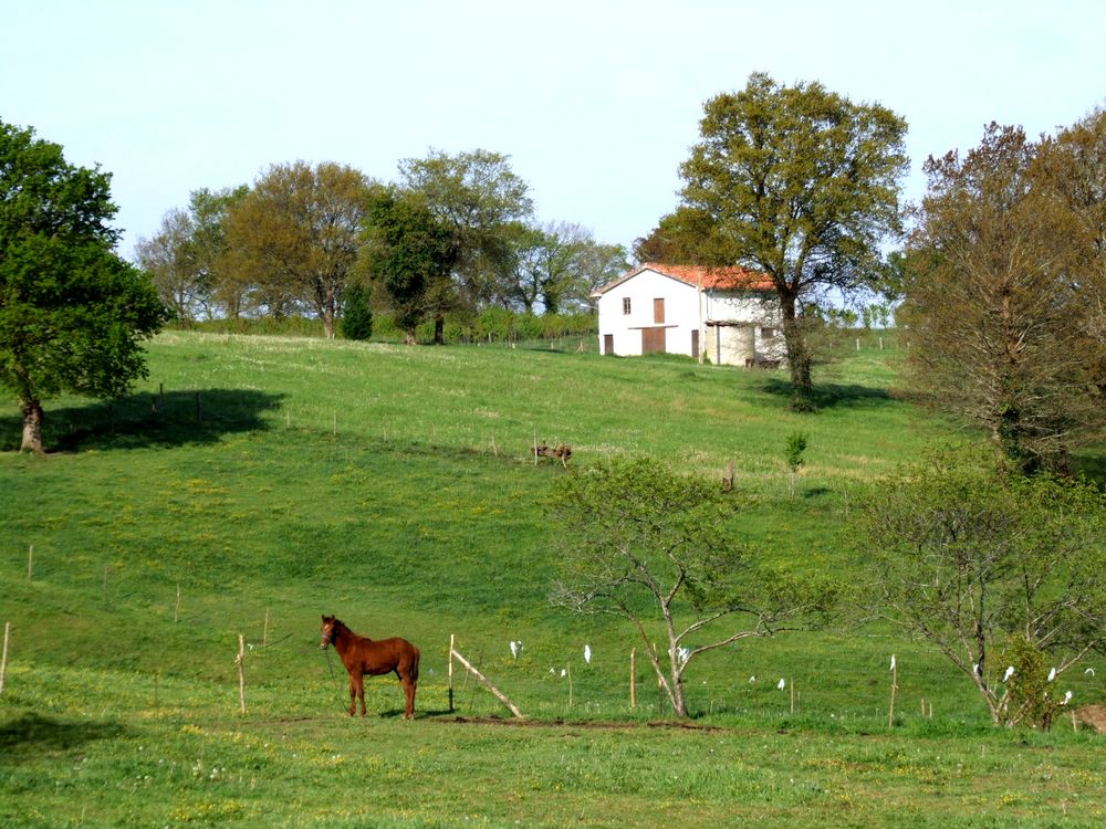 Foto de Arenal de Penagos (Cantabria), España