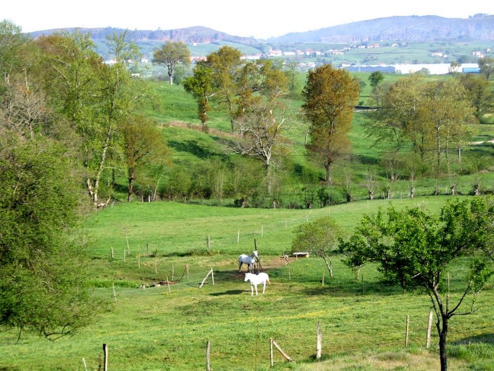Foto de Arenal de Penagos (Cantabria), España