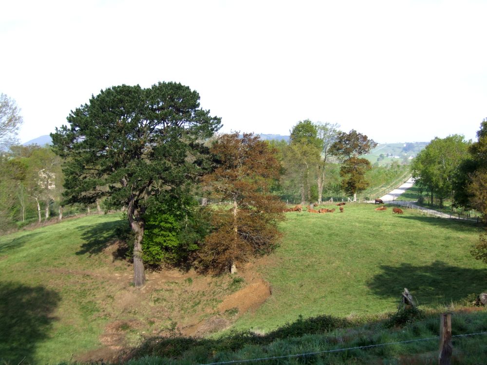 Foto de Arenal de Penagos (Cantabria), España