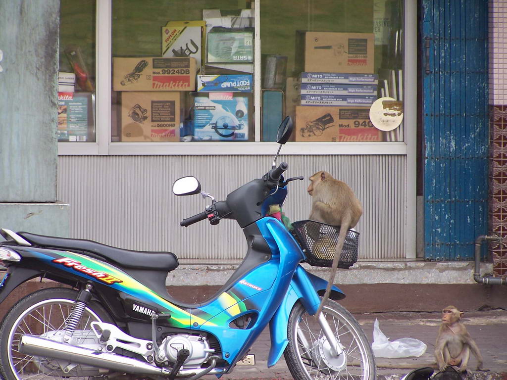 Foto de Lupburi, Tailandia