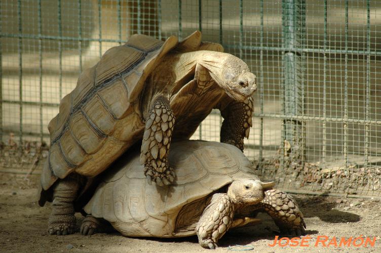 Foto de Jerez  de la Frontera (Cádiz), España
