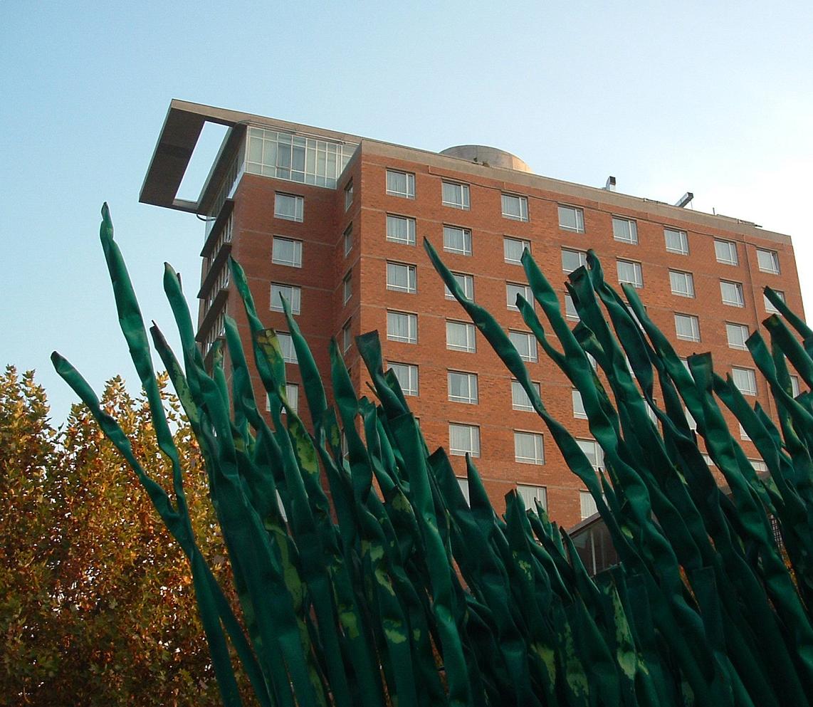 Foto de Santiago, Chile