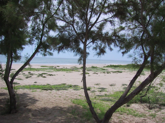 Foto de Tumbes, Perú