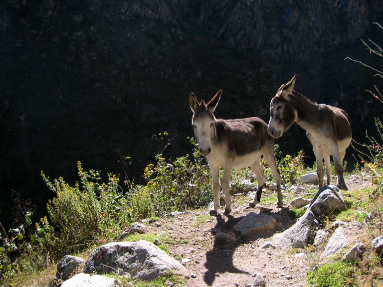 Foto de Ancash, Perú