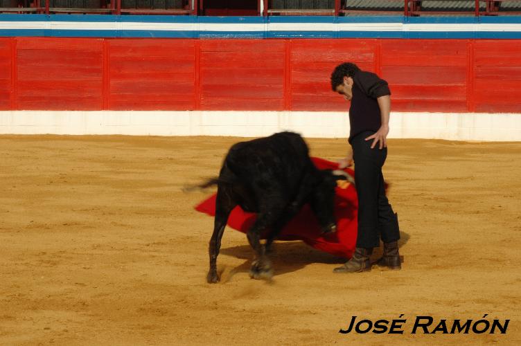 Foto de Jerez  de la Frontera (Cádiz), España
