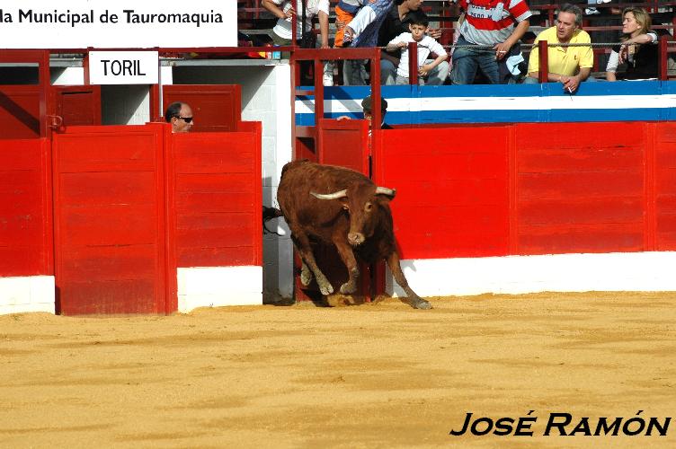 Foto de Jerez  de la Frontera (Cádiz), España