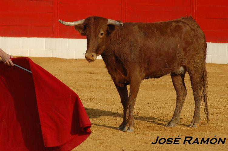 Foto de Jerez  de la Frontera (Cádiz), España