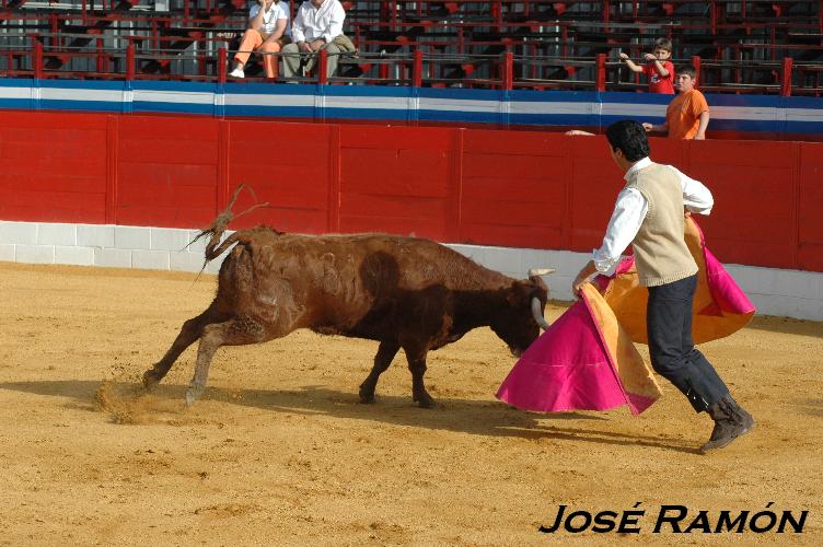 Foto de Jerez  de la Frontera (Cádiz), España
