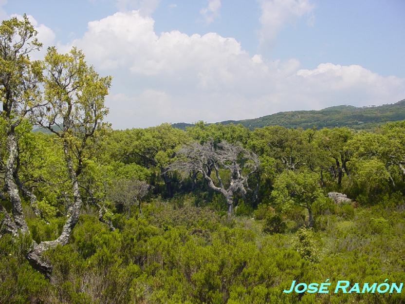 Foto de Cádiz (Andalucía), España