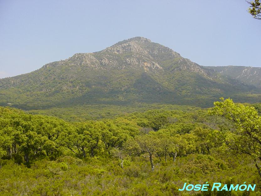 Foto de Cádiz (Andalucía), España