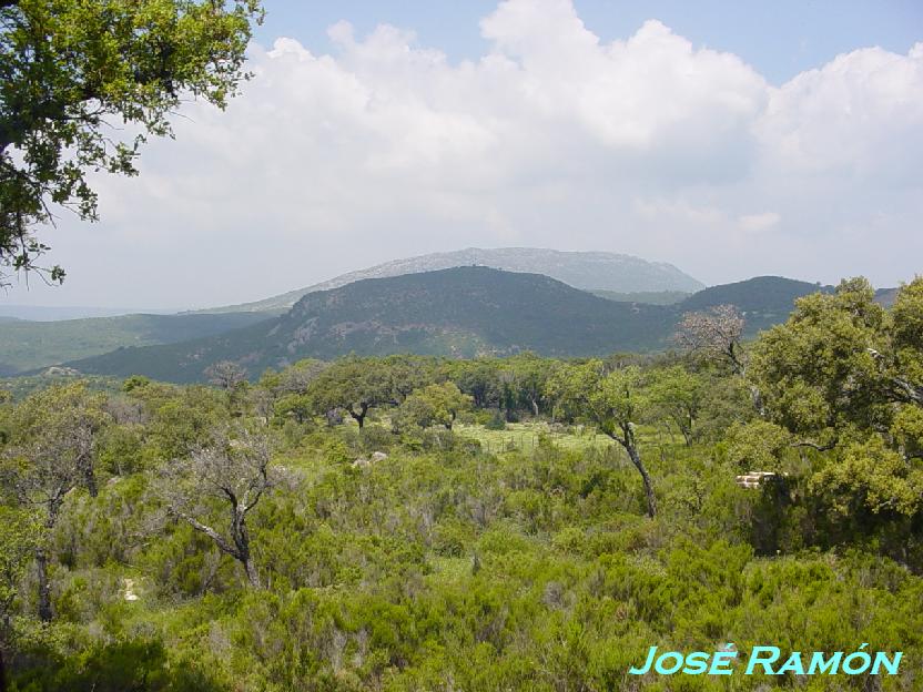 Foto de Cádiz (Andalucía), España