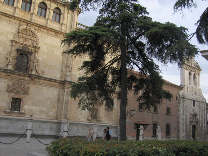 Foto de Alcalá de Henares (Madrid), España