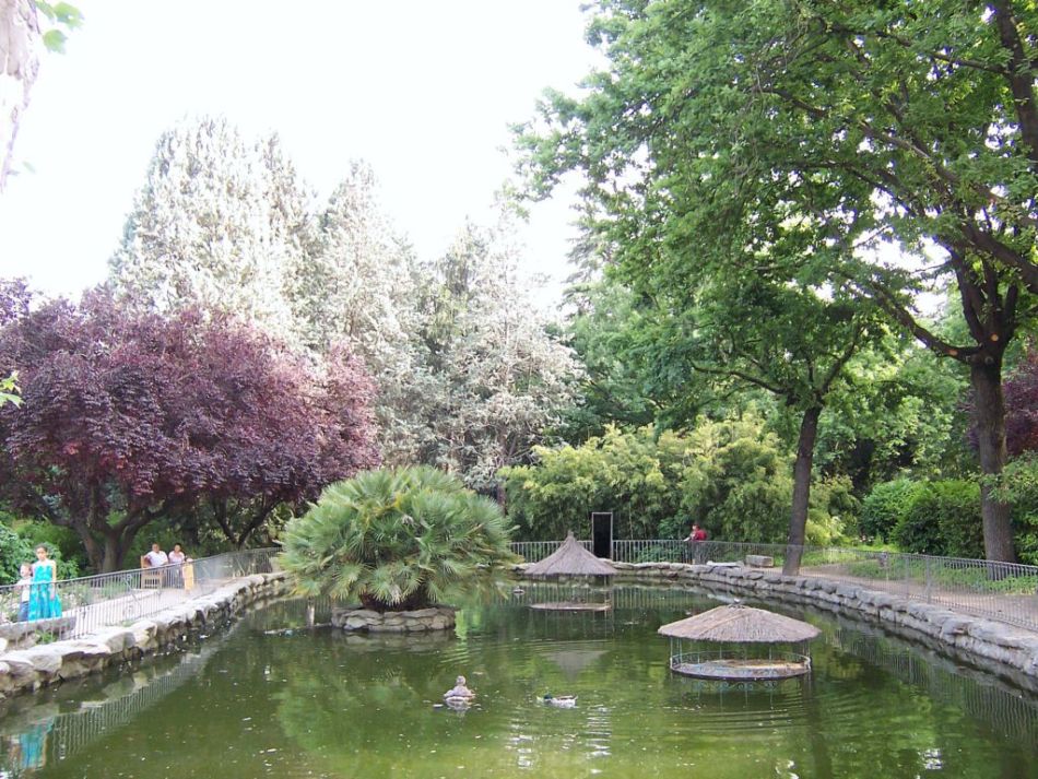 Foto de Madrid (Comunidad de Madrid), España