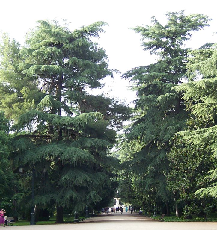 Foto de Madrid (Comunidad de Madrid), España