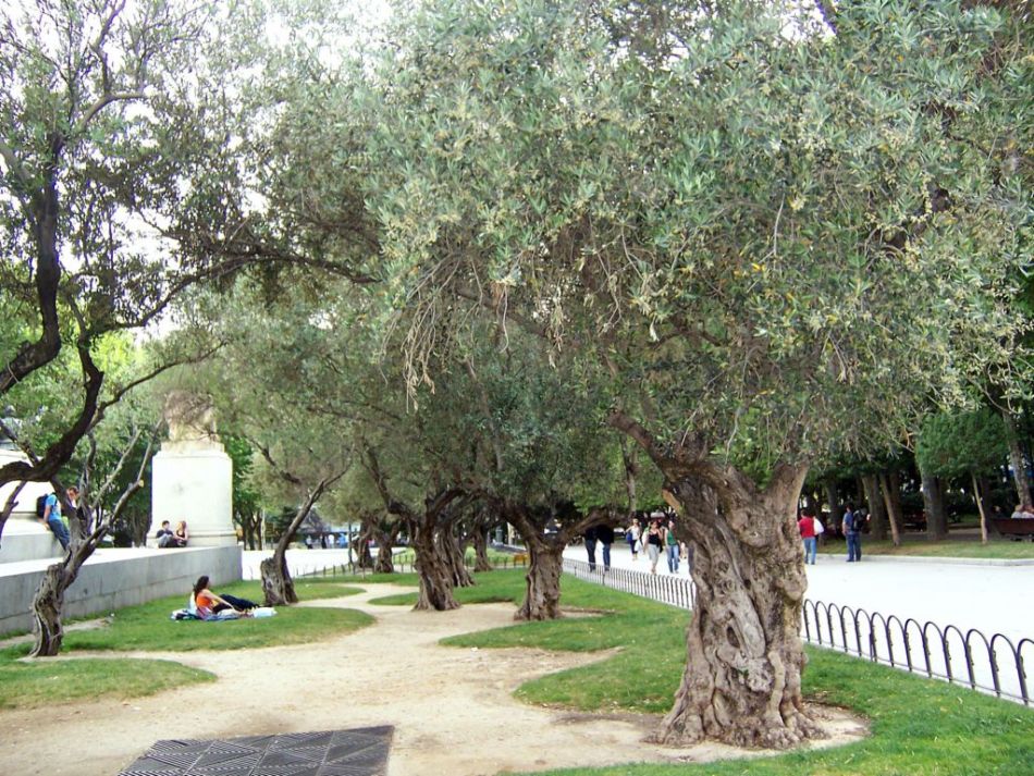 Foto de Madrid (Comunidad de Madrid), España