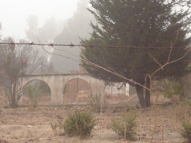 Foto de QUILPUE, Chile