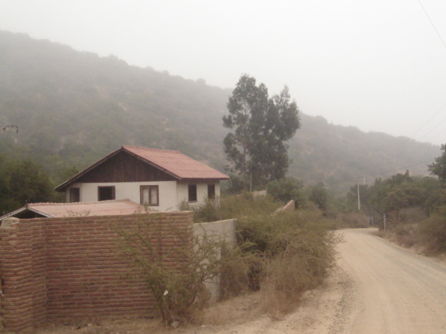 Foto de QUILPUE, Chile