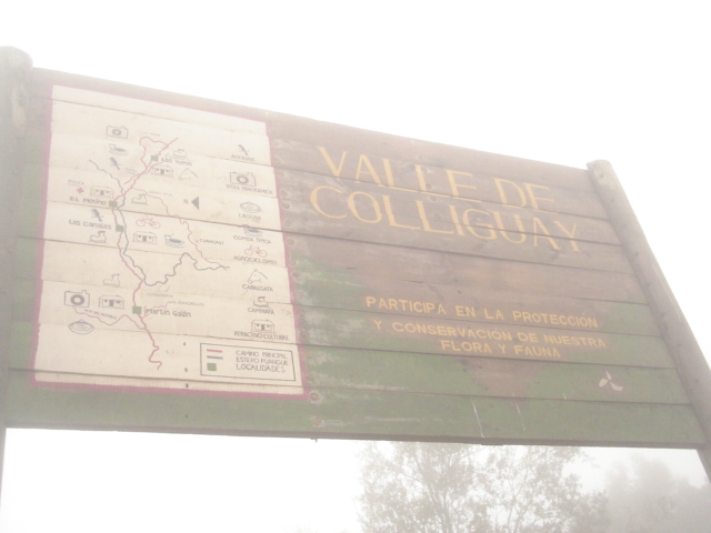 Foto de QUILPUE, Chile