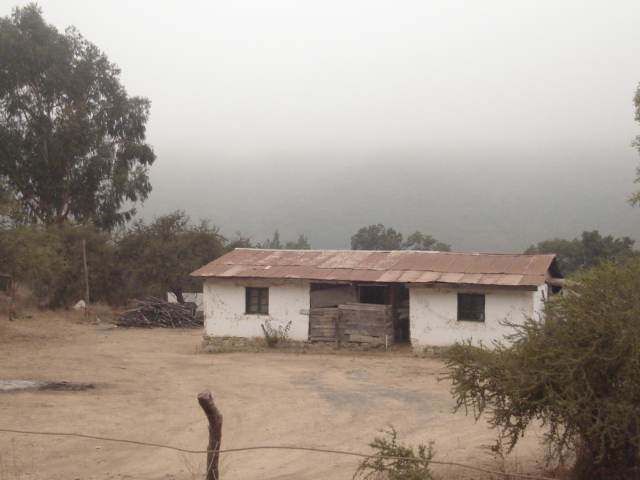 Foto de QUILPUE, Chile