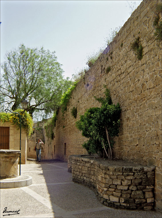 Foto de Mallorca (Illes Balears), España