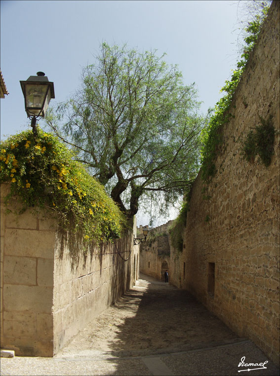 Foto de Mallorca (Illes Balears), España