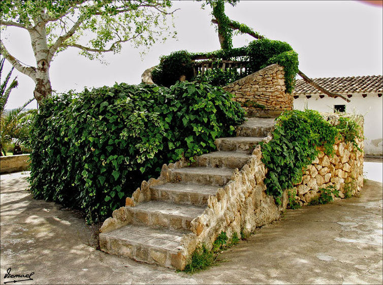 Foto de Mallorca (Illes Balears), España