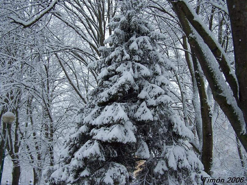 Foto de Burgos (Castilla y León), España