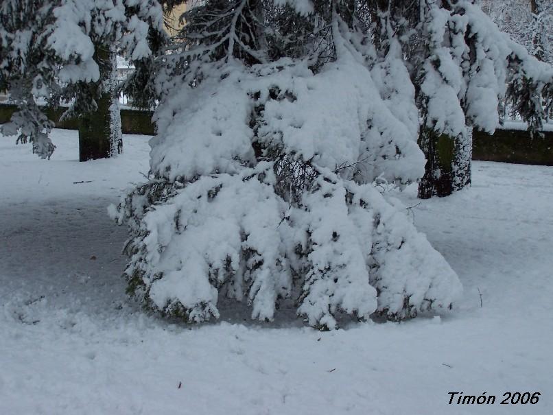 Foto de Burgos (Castilla y León), España