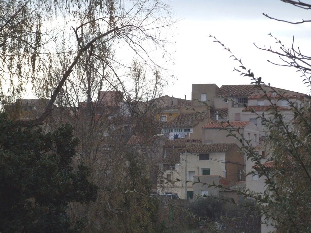 Foto de Elche de la Sierra (Albacete), España