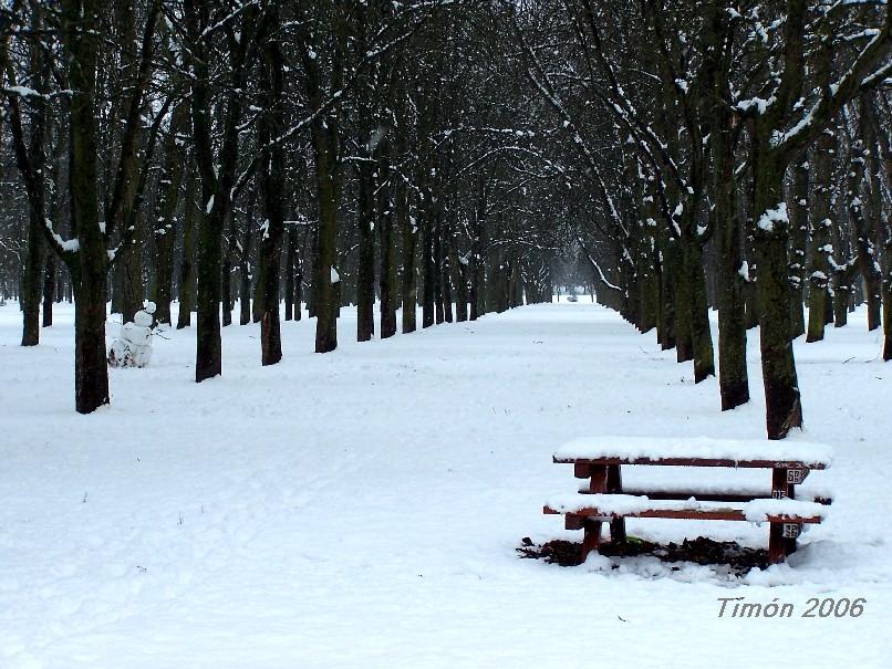 Foto de Burgos (Castilla y León), España