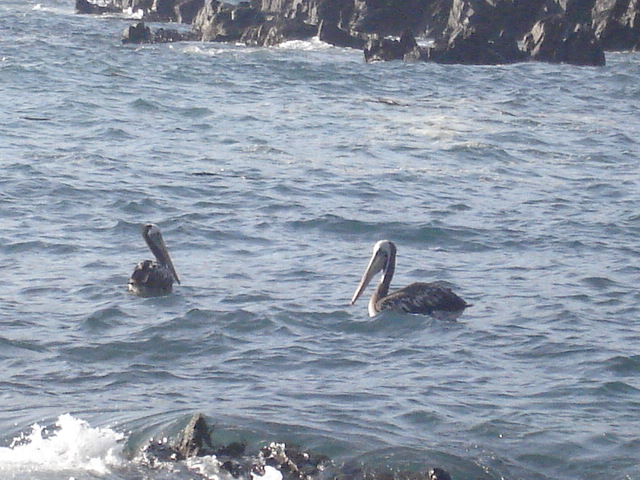 Foto de QUINTAY, Chile