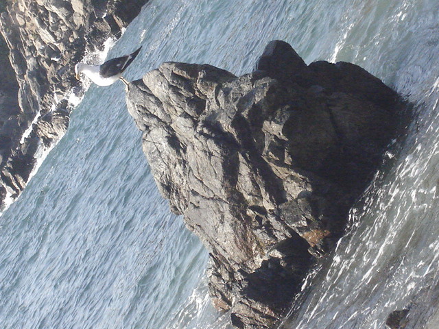 Foto de QUINTAY, Chile