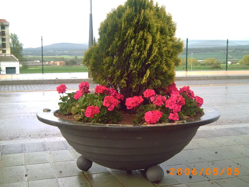 Foto de Ólvega (Soria), España