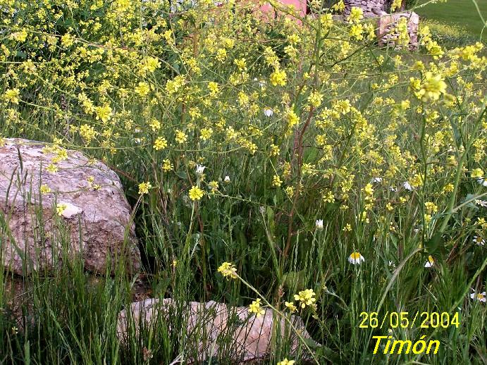 Foto de Burgos (Castilla y León), España