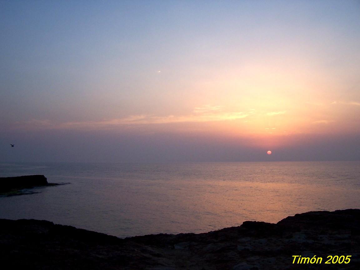 Foto de Torrevieja (Alicante), España