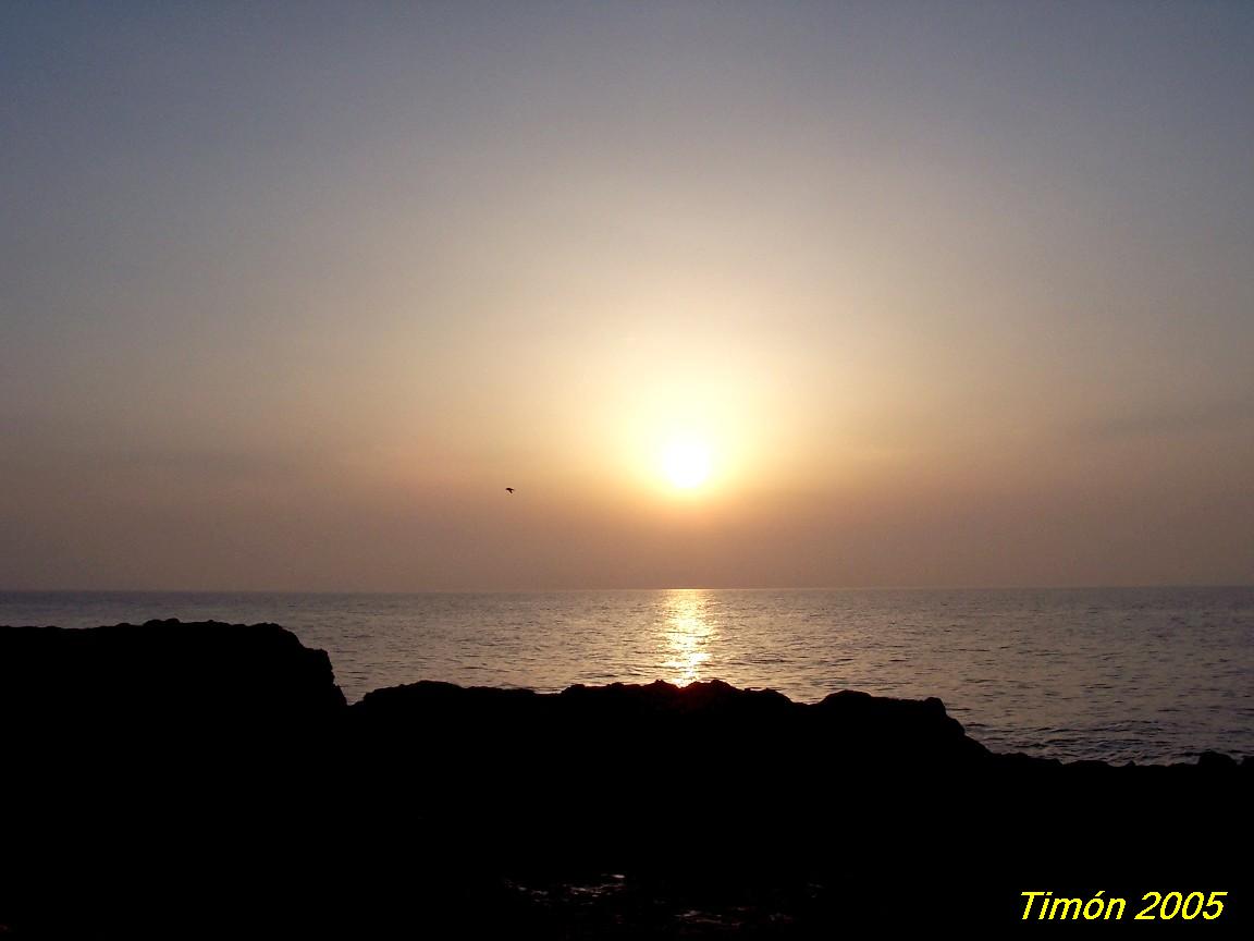 Foto de Torrevieja (Alicante), España