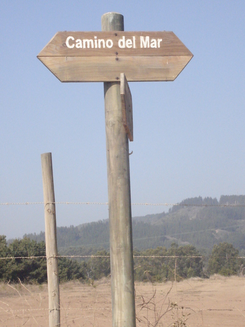 Foto de QUINTAY, Chile