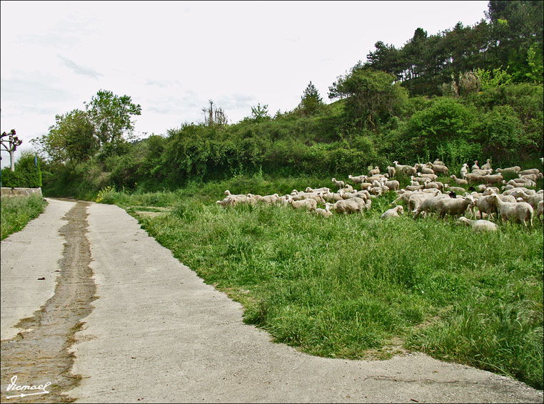 Foto de Puente la Reina - Gares (Navarra), España