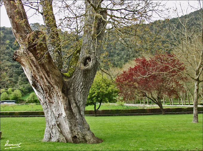 Foto de Estella (Navarra), España