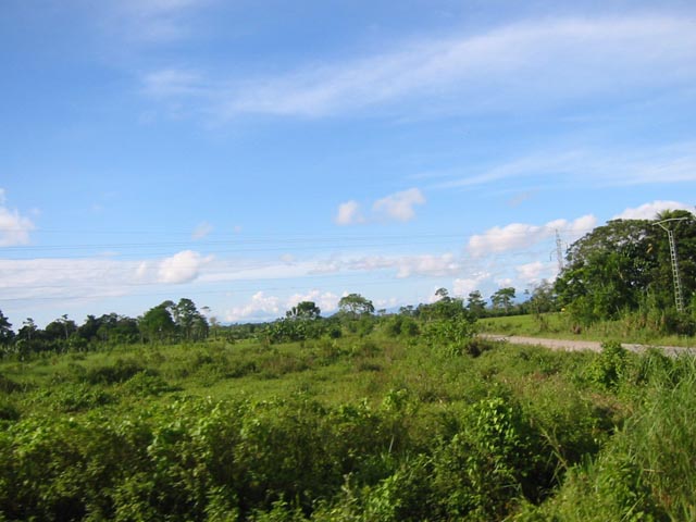 Foto de Tarapoto, Perú