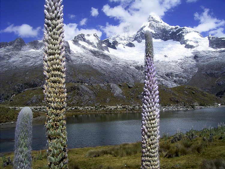 Foto de Ancash, Perú