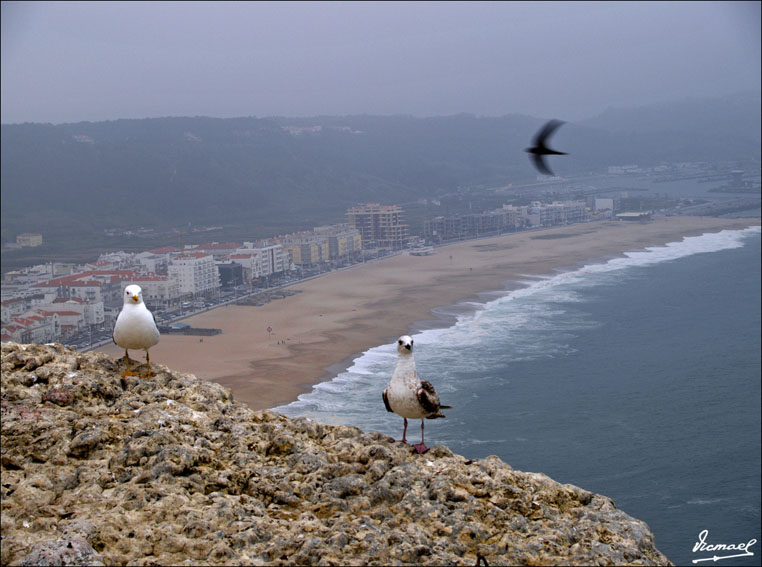 Foto de Nazaré, Portugal