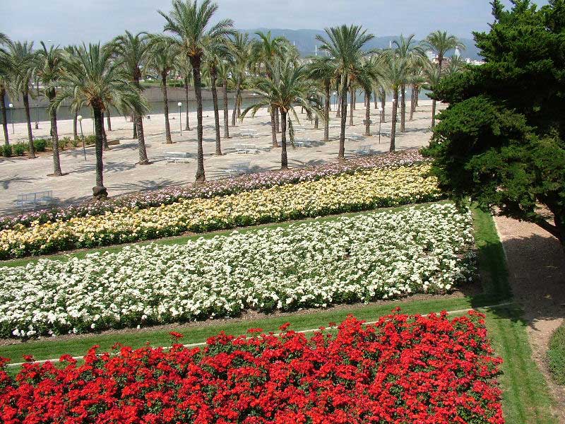 Foto de Palma de Mallorca (Illes Balears), España